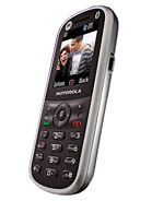 Best available price of Motorola WX288 in Saintkitts