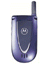 Best available price of Motorola V66i in Saintkitts